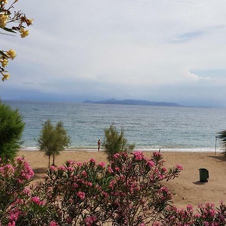 Perfect Beachfront Apartment Αθήνα Εξωτερικό φωτογραφία