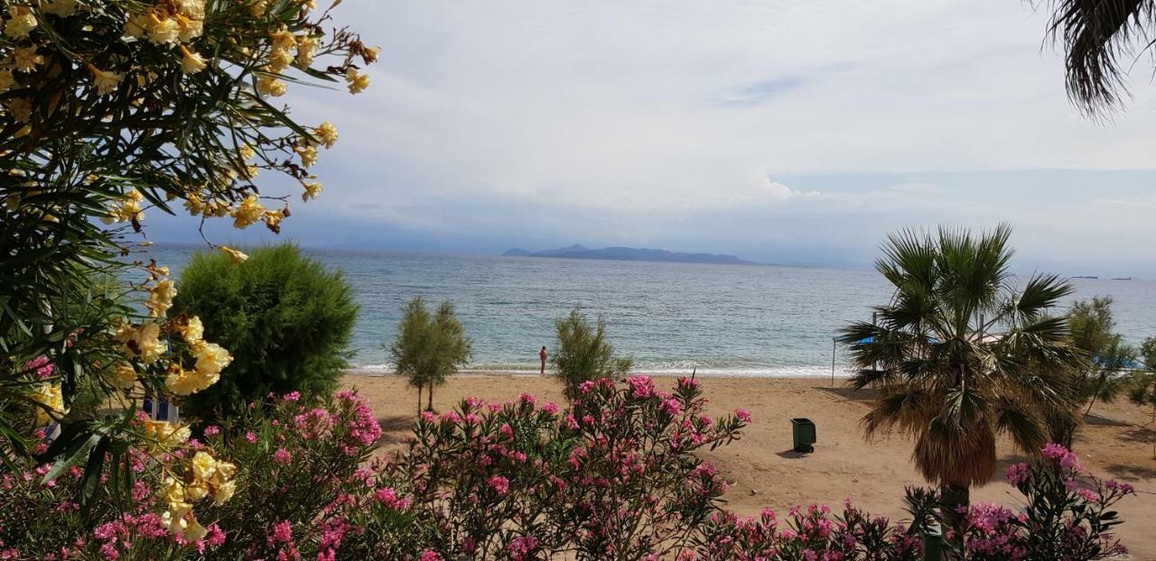 Perfect Beachfront Apartment Αθήνα Εξωτερικό φωτογραφία